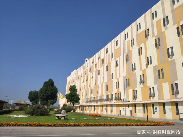 維維股份六朝松面粉通過“中國好糧油”驗收播